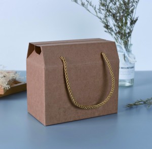 Ibhokisi le-Kraft Paper Rectangle Ibhokisi eline-Carry Handle Packaging Box