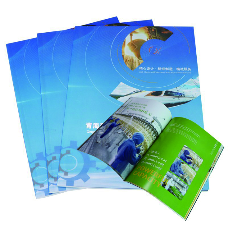 A5 Brochure Printing Customized DL Booklet Softcover Printing Service