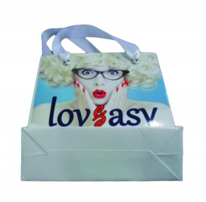 Paperbag Gift Bags Wedding Packaging ກະເປົ໋າຫຸ້ມຫໍ່ຂະຫນາດນ້ອຍ